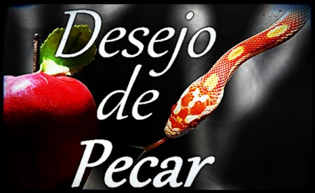 Capítulo 166°